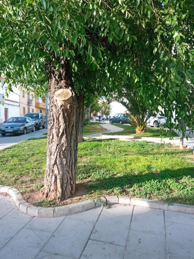 Apartamento San Miguel Baena Eksteriør bilde